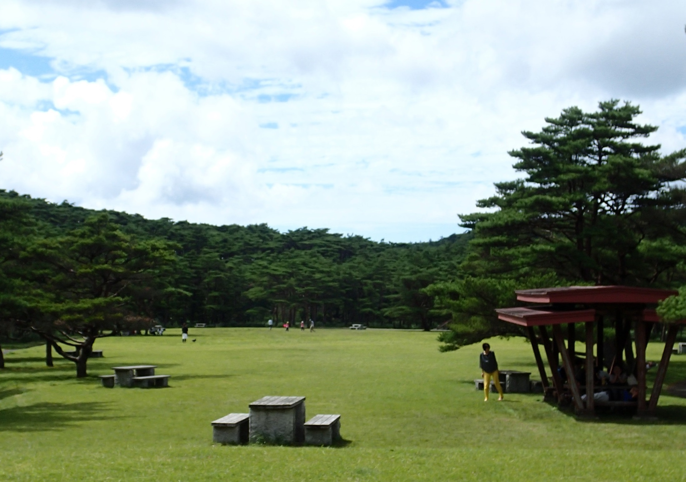 アクティブ・レンジャー日記 [九州地区]_霧島錦江湾国立公園 えびの